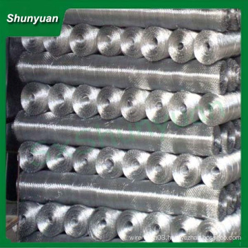 Hot Sale Crimped Wire Mesh With High Quality